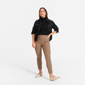 Everlane Curvy Side Zip Work Ankle Pant